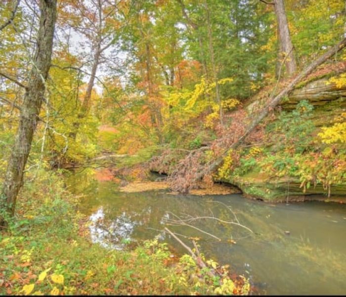 47cd5b6d-9e29-4f84-acff-6f2efd701cde