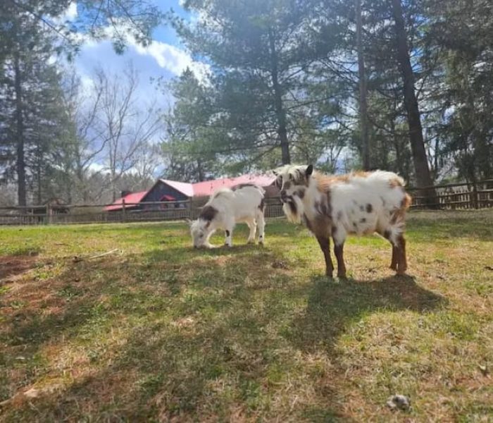 5591b49b-f730-4c90-8648-3e4377d6e020