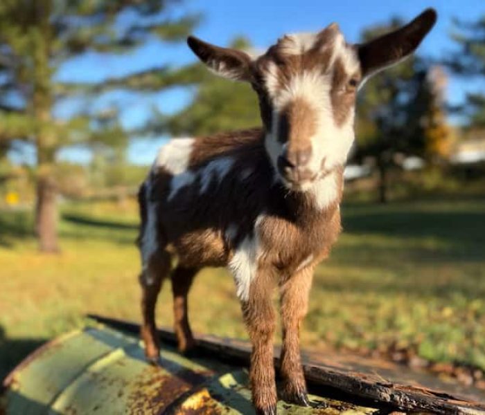 56514f94-6c9b-4a53-a03c-d978a0d9d569