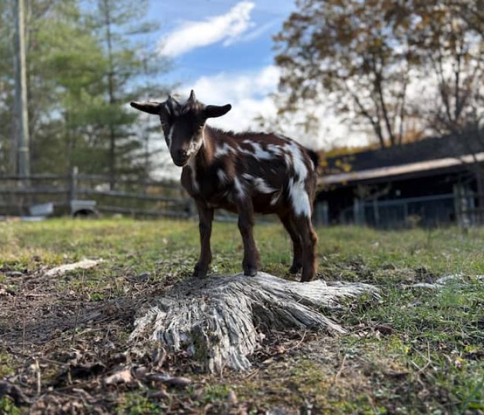 ece57d5b-51a3-49e2-8697-dc3d67ebf7eb